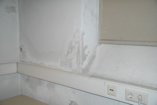 Alternativwoche 2011 EDV