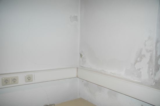 Alternativwoche 2011 EDV