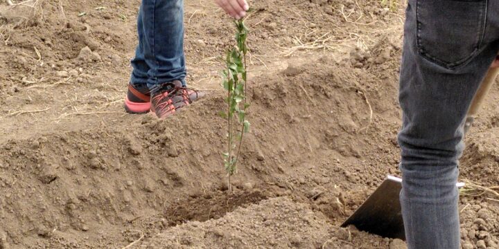 Wir pflanzen einen Wald – die 4B verewigt sich in Kledering