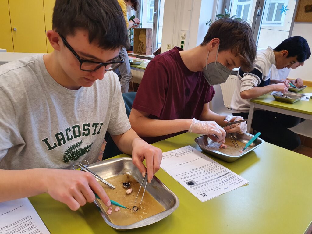 20220228_151612