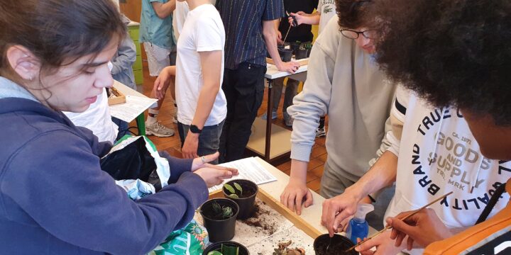 Alles neu im Biosaal – alles grün im Stiegenhaus