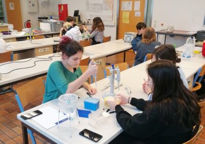 Gentechnikworkshop der 8A und 8B im Jänner 2023