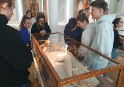 Josephinum – Ein geschichtsträchtiges medizinisches Museum