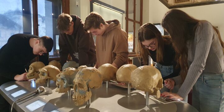 Obwohl ich keine Glatze habe … – Erkundungen der 8A zur Hominidenevolution