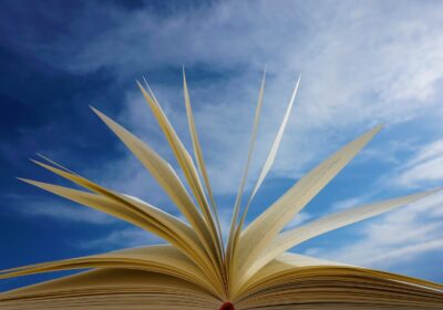 Neues Bibliotheksportal mit Suchmaschine