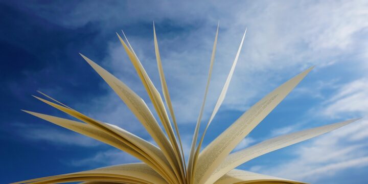 Neues Bibliotheksportal mit Suchmaschine