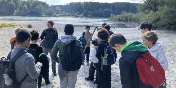 2c in den Donau-Auen