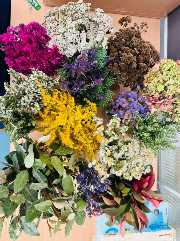 Bild-06-11-2025-05-36-59