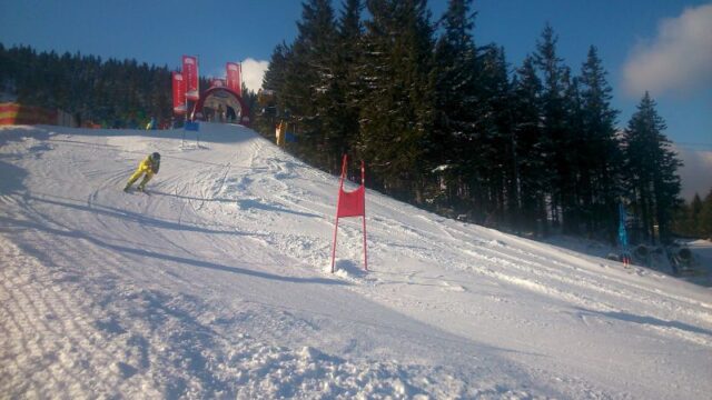 Landesmeisterschaft Wiener Schulen Alpiner Schilauf 2015