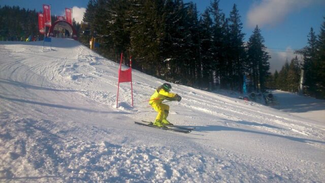 Landesmeisterschaft Wiener Schulen Alpiner Schilauf 2015