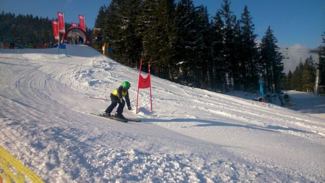 Landesmeisterschaft Wiener Schulen Alpiner Schilauf 2015
