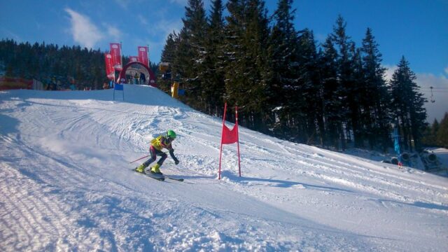 Landesmeisterschaft Wiener Schulen Alpiner Schilauf 2015