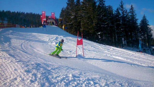 Landesmeisterschaft Wiener Schulen Alpiner Schilauf 2015
