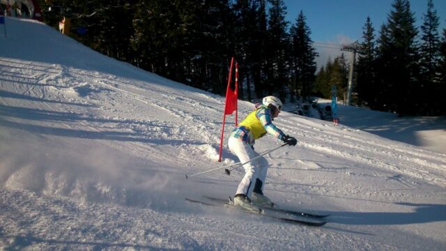 Landesmeisterschaft Wiener Schulen Alpiner Schilauf 2015